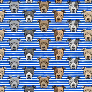 (med scale) all the pit bulls - blue stripes LAD19