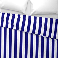 Blue and White Wide 2-inch Cabana Tent Vertical Stripes