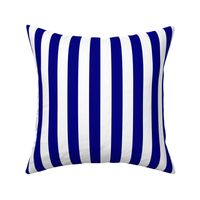 Blue and White Big 1-inch Beach Hut Vertical Stripes