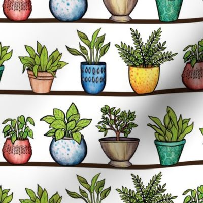Houseplants Pattern - Colorful Potted Plants On Shelves