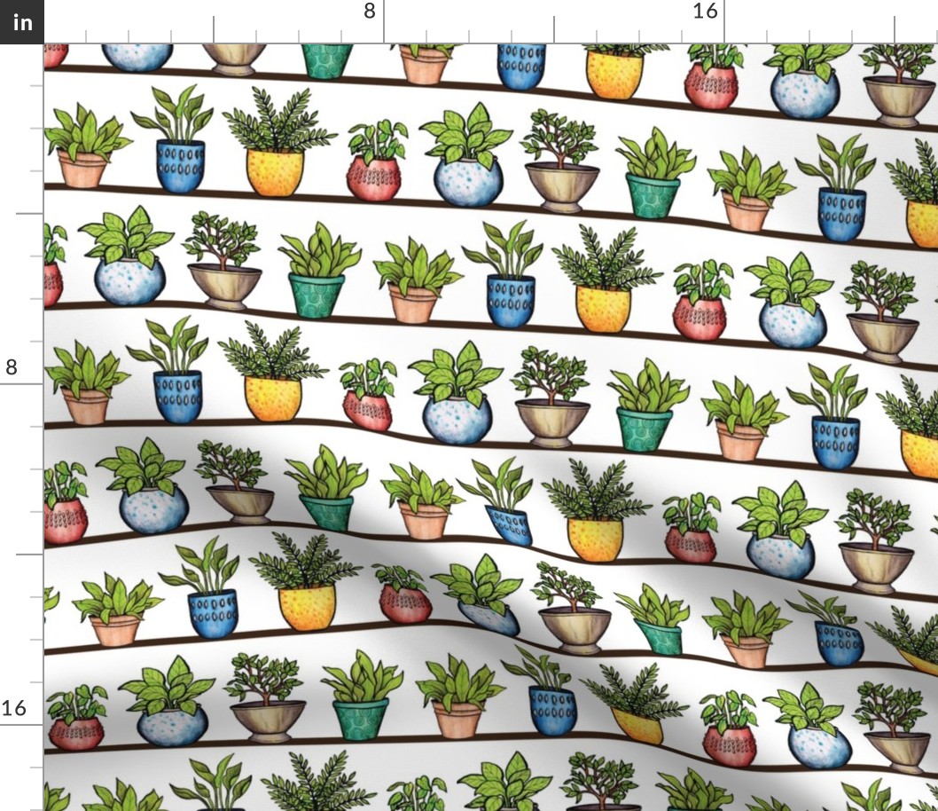 Houseplants Pattern - Colorful Potted Plants On Shelves
