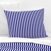 Blue and White ½ inch Picnic Vertical Stripes