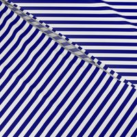 Blue and White ¼ inch Sailor Vertical Stripes