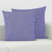 Blue and White ¼ inch Sailor Vertical Stripes