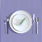 Blue and White ¼ inch Sailor Vertical Stripes