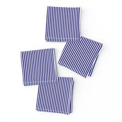 Blue and White 1/8-inch Thin Pencil Vertical Stripes