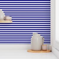 Blue and White ½ inch Picnic Horizontal Stripes