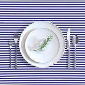 Blue and White ¼ inch Sailor Horizontal Stripes