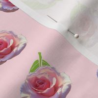 Floating Sweet Sonata Rose - medium, candy pink
