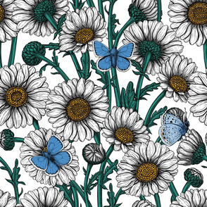 Daisies and common blue butterflies