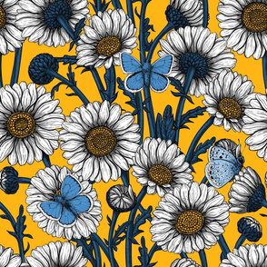 Daisies and common blues on yellow