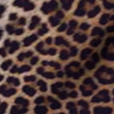 leopard skin