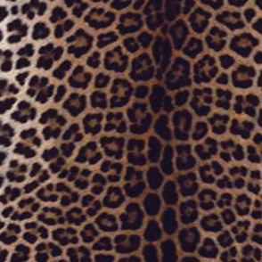 leopard skin