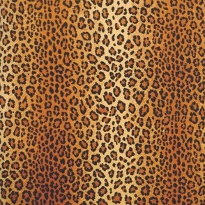 Cheetah Repeat