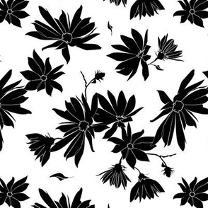 topinambour (jerusalem artichoke) flowers black