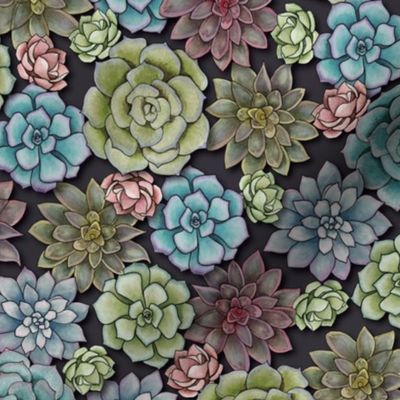 Succulent Garden -  Pink, Blue & Green Pattern With Succulents