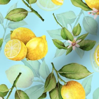  14" Lemonade - Summer Mediterranean Fresh hand drawn lemon branches and slices on teal - double layer