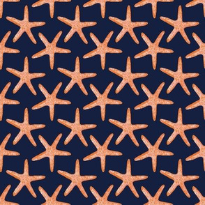 Coral starfish on dark navy blue