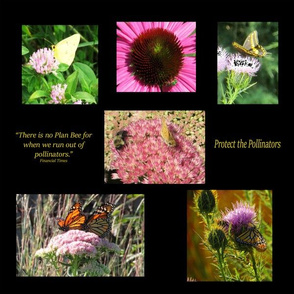 Protect the Pollinators