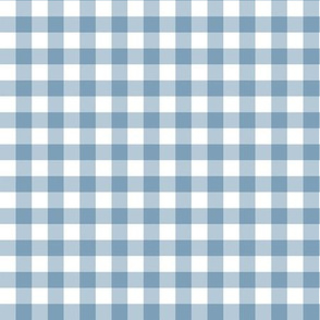 Blue Gingham 