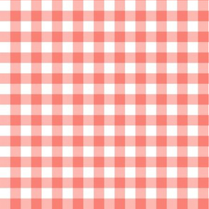 Coral Gingham  