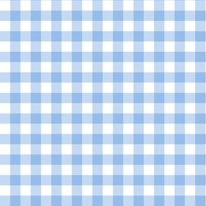 Bright Light Blue Gingham