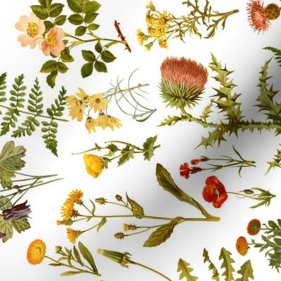 vintage wildflowers-small/rotated