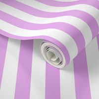 Blush Pink and White Big 1-inch Beach Hut Vertical Stripes