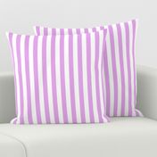 Blush Pink and White ¾ inch Deck Chair Vertical Stripes