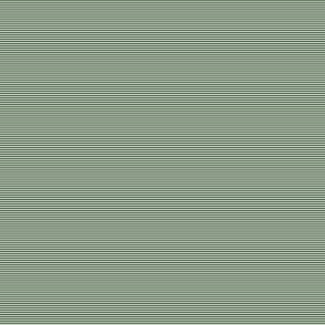 Forest Green and White 1/16-inch Micro Pinstripe Horizontal Stripes