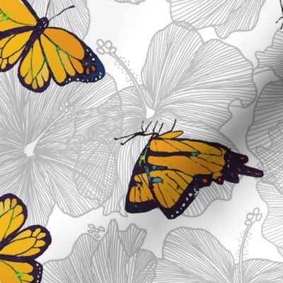 butterflies & ibiscus