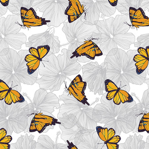 butterflies & ibiscus
