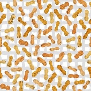 peanuts on gray gingham