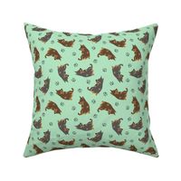 Tiny Lancashire Heelers - green