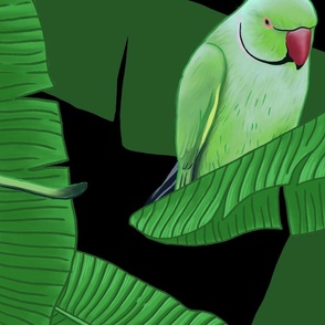 Tropical Green Parrot Birds on Banana Trees - Black Large