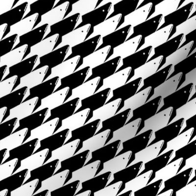 Baby Sharkstooth Sharks Pattern Repeat in Black and White