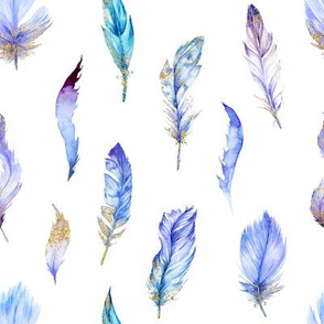 Blue and Gold Feathers // White