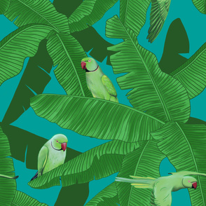 Tropical Green Parrot Birds within Banana Leaves