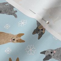 Tiny Australian cattle dogs - winter snowflakes