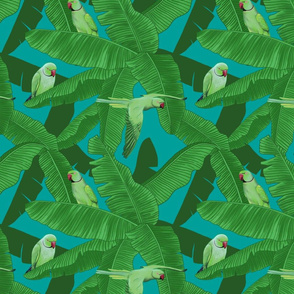 Tropical Green Parrot Birds On Banana Leaves - Turquoise Small Size