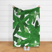 Tropical Green Parrot Birds on Banana Leaves - White Largest Size