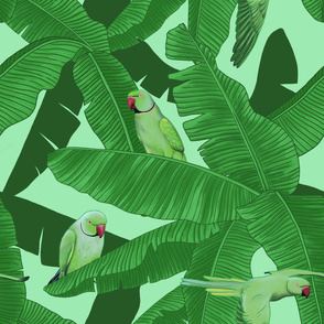 Tropical Green Parrot Birds on Banana Leaves - Light Green Large Print