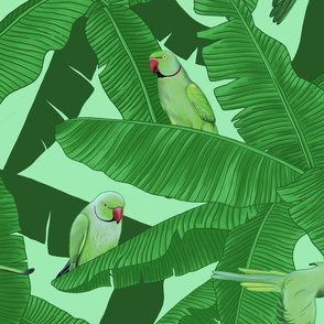 Tropical Green Parrots on Banana Leaves - Light Green Medium Size
