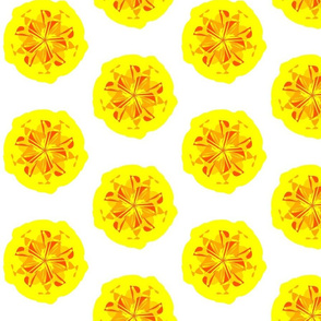 Funky Flowers - Wattle it be, Yellow Flower