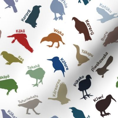 New Zealand birds with names