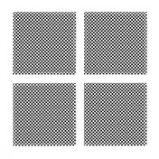 Black and White Checkerboard 1/4 inch-Check