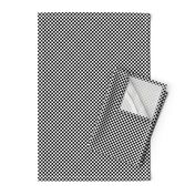 Black and White Checkerboard 1/4 inch-Check