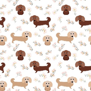 9" dachshund floral fabric - dog fabric, dachshund fabric, pet fabric, dachshund fun fabric - white