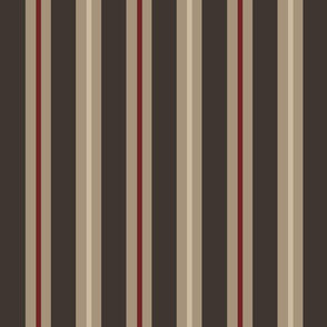 Indian Stripes