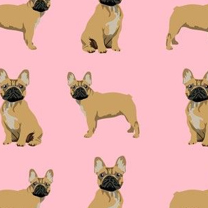 frenchie fabric - fawn french bulldog fabric, dog fabric, dogs fabric, cute dog fabric - pink
